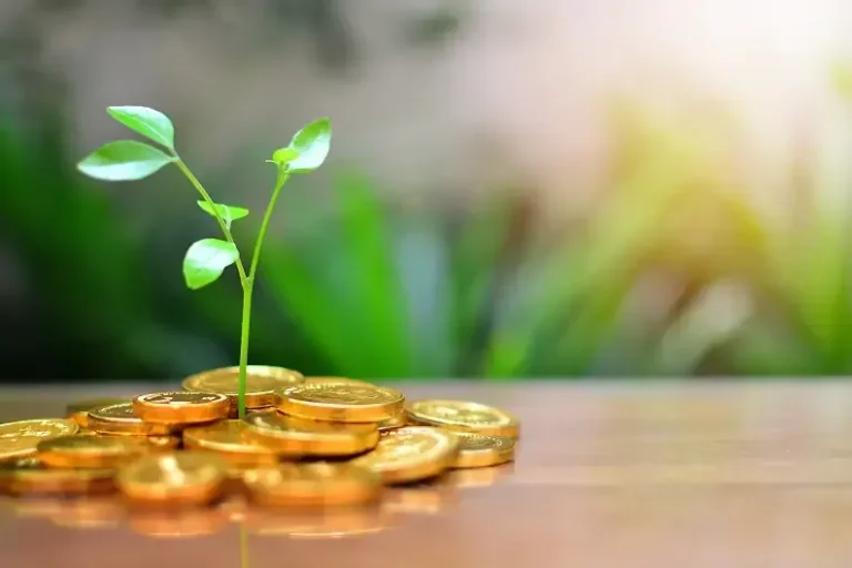 دليل شامل عن العوائد على الاستثمار في الذهب