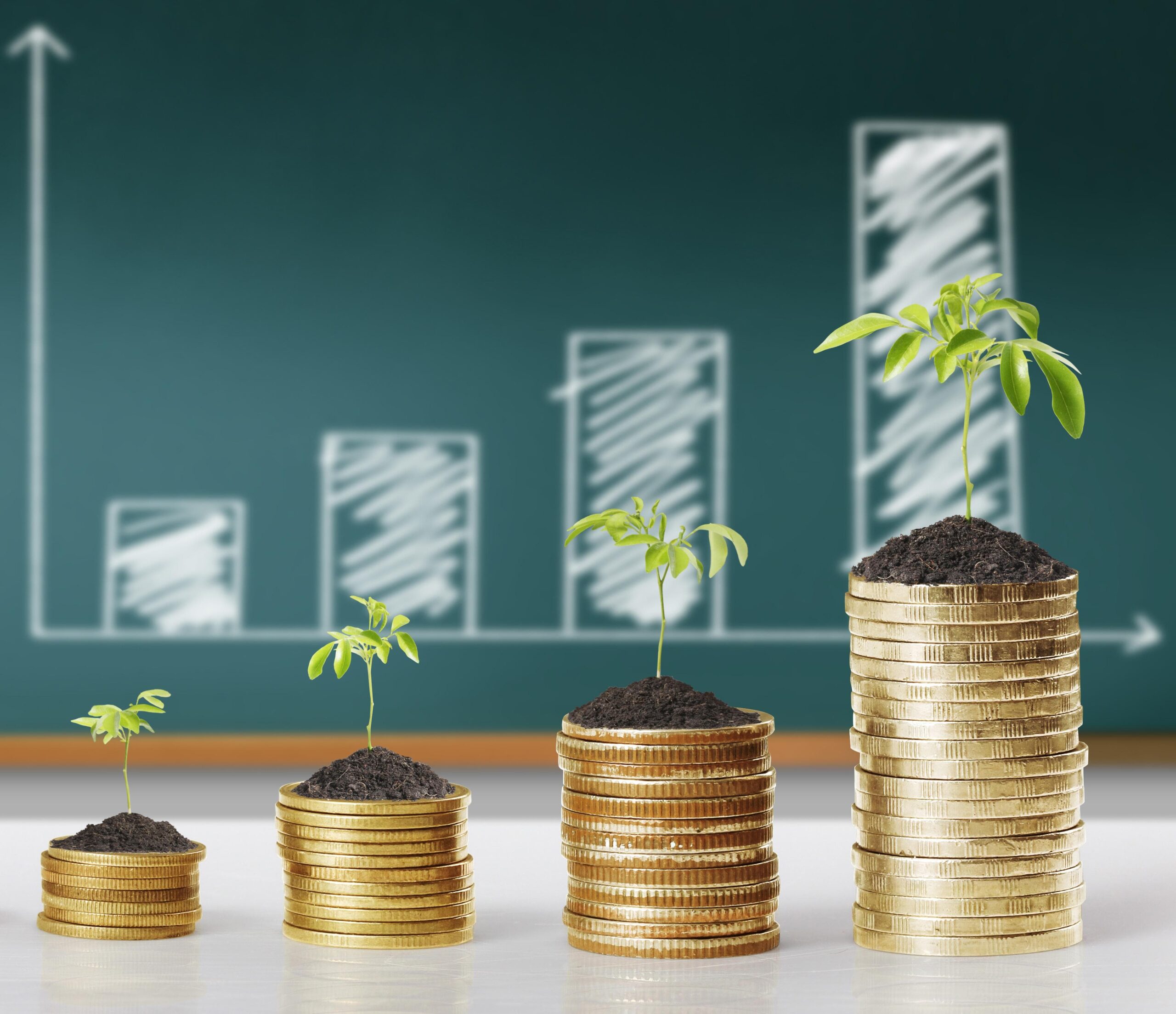 إدارة المخاطر في الاستثمارات الدولية