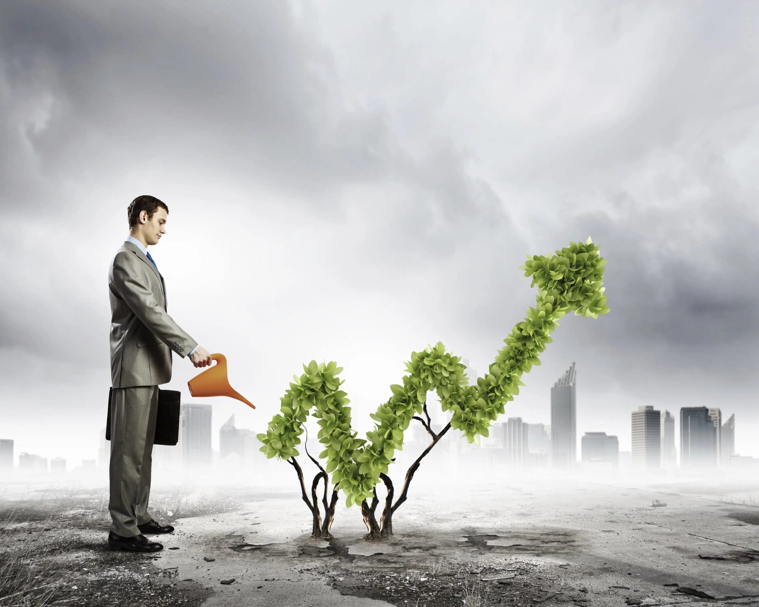 إدارة المخاطر في الاستثمارات الدولية