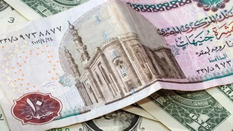 دور التعويم في تحديد أسعار الفائدة البنكية في مصر