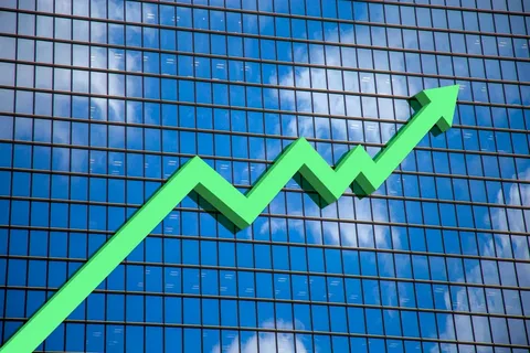 الاستثمار في الأسهم النامية