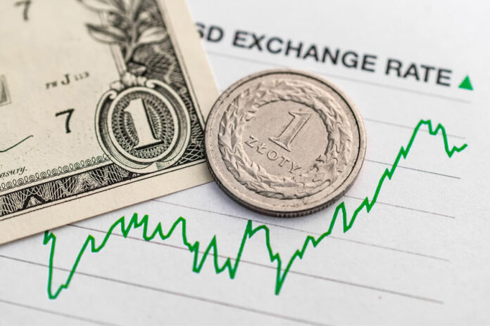 تعويم العملة