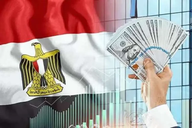 مشاريع استثمارية للمستثمر المصري