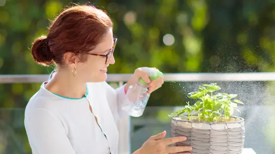 أفضل استثمار لربات البيوت