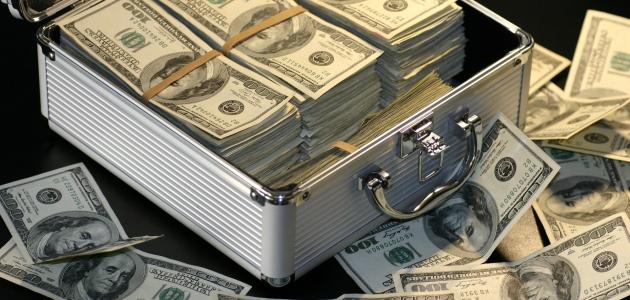 التعويم وكيفية تخطيط الميزانية